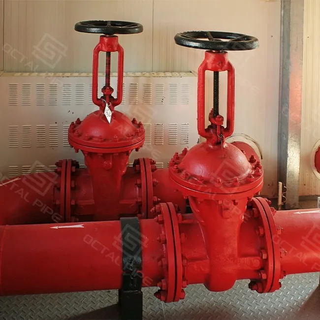 API 6D Valve and Pipeline Valve-octalpipe